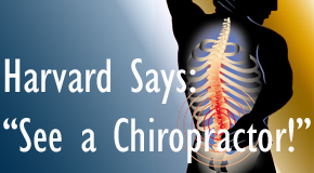 Severna Park chiropractic for back pain relief urged by Harvard