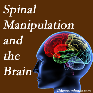 Back And Neck Care Center [presents research on the benefits of spinal manipulation for brain function. 