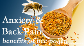 Back And Neck Care Center shares info on the benefits of bee pollen on cognitive function that may be impaired when dealing with back pain.