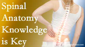 Back And Neck Care Center understands spinal anatomy well – a benefit to everyday chiropractic practice!