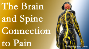 Back And Neck Care Center shares at the connection between the brain and spine in back pain patients to better help them find pain relief.