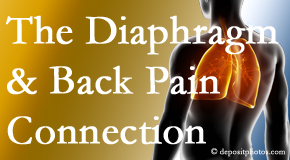Back And Neck Care Center recognizes the relationship of the diaphragm to the body and spine and back pain. 