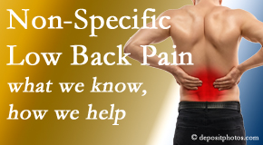 Back And Neck Care Center describes the specific characteristics and treatment of non-specific low back pain. 