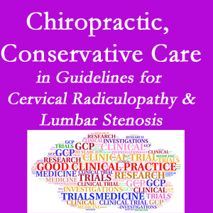 Severna Park chiropractic care for cervical radiculopathy and lumbar spinal stenosis is often ignored in medical studies and recommendations despite documented benefits. 
