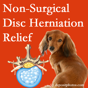 Often, the Severna Park disc herniation treatment at Back And Neck Care Center successfully relieves back pain for those with disc herniation. (Veterinarians treat dachshunds’ discs conservatively, too!) 