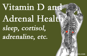 Back And Neck Care Center shares new studies about the effect of vitamin D on adrenal health and function.